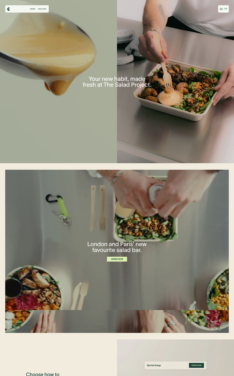 The Salad Project website design reference