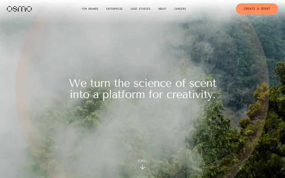 Osmo website preview