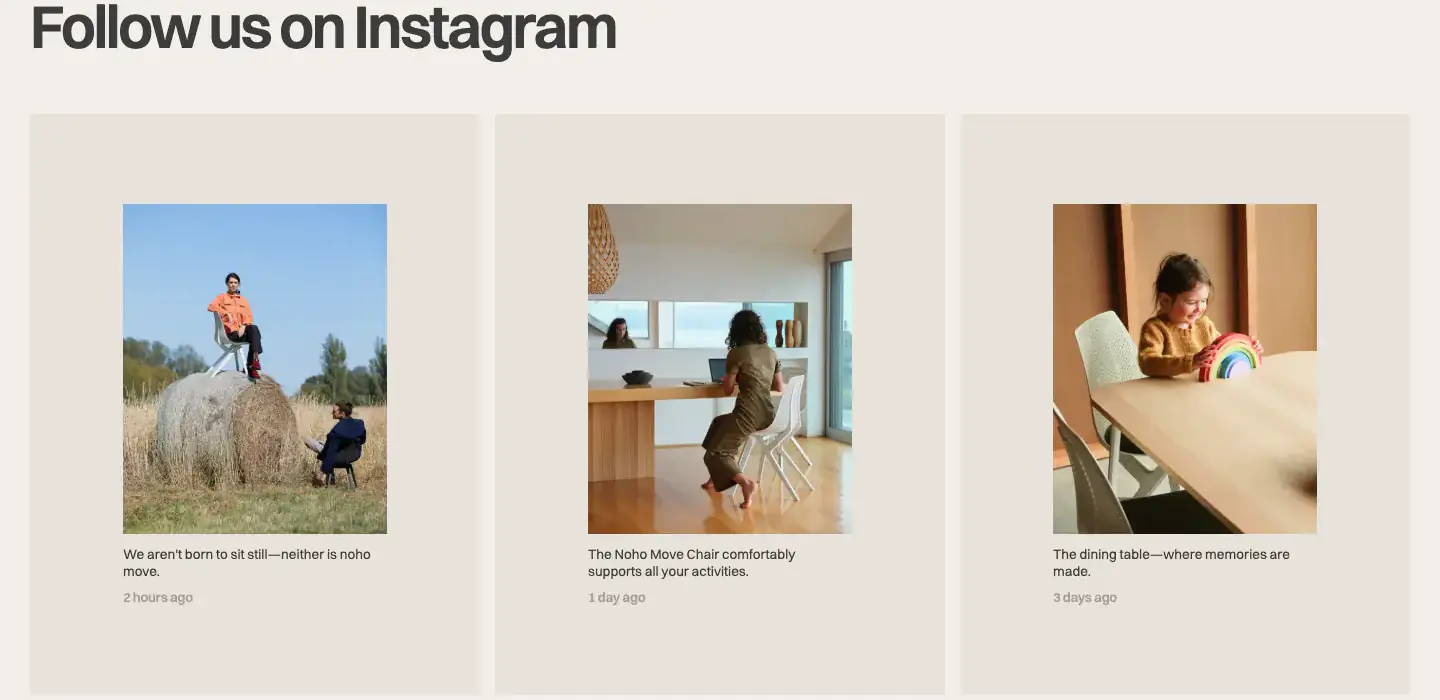Instagram Social Feed gallery section from Noho