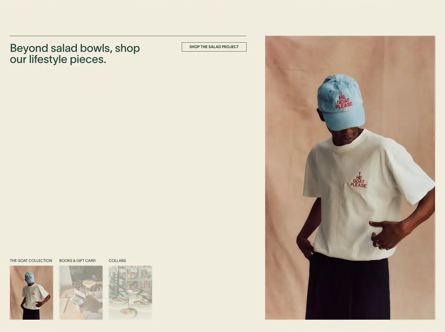 Lifestyle Merchandise Shop Showcase gallery section from The Salad Project