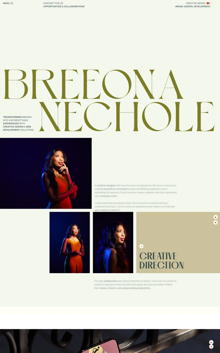 Breeona Nechole website design reference