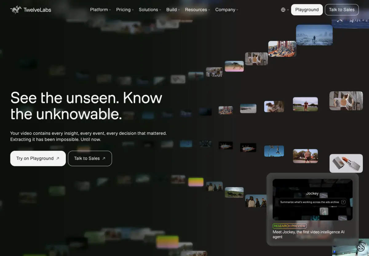 See the unseen. Know the unknowable. hero section from TwelveLabs