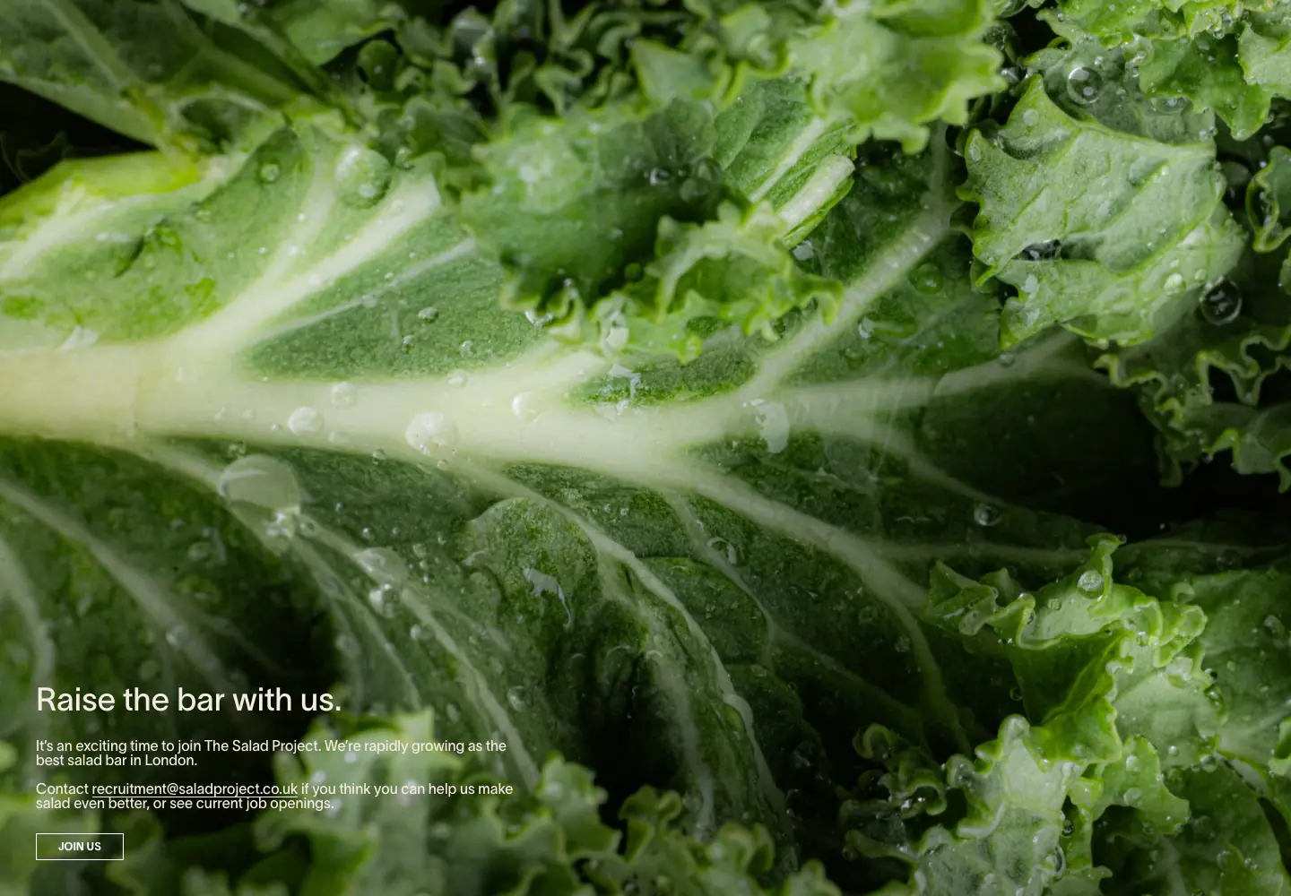 Raise the bar with us. features section from The Salad Project