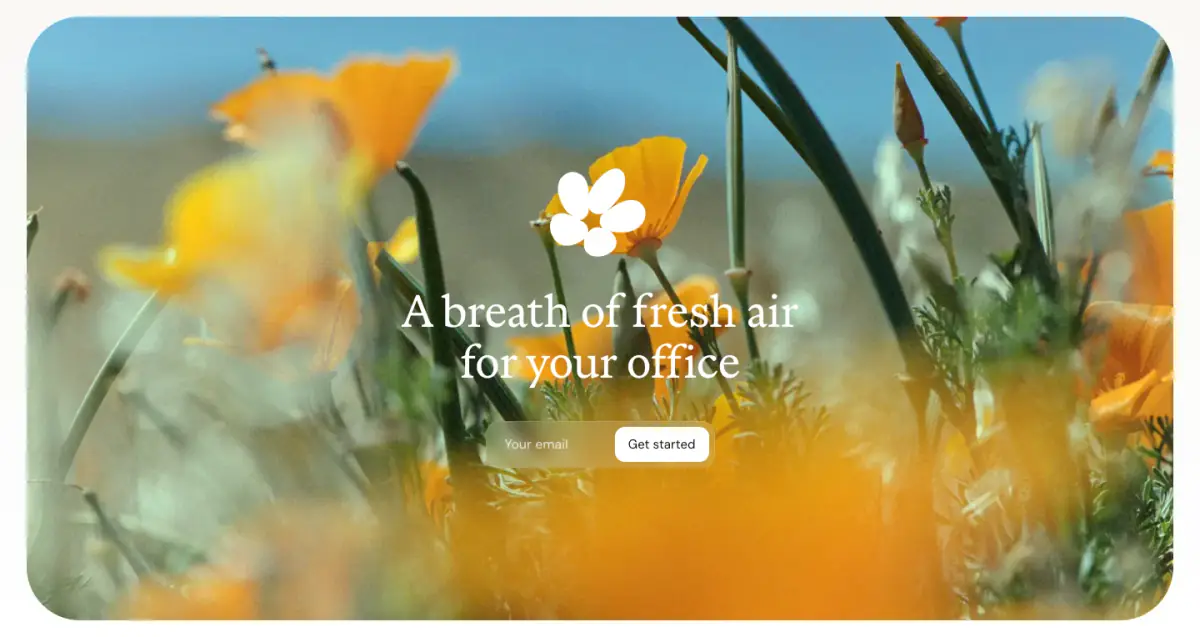 A breath of fresh air for your office features section from Lassie