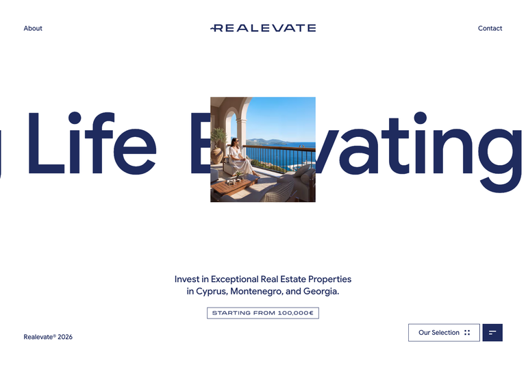 Realevate website design reference