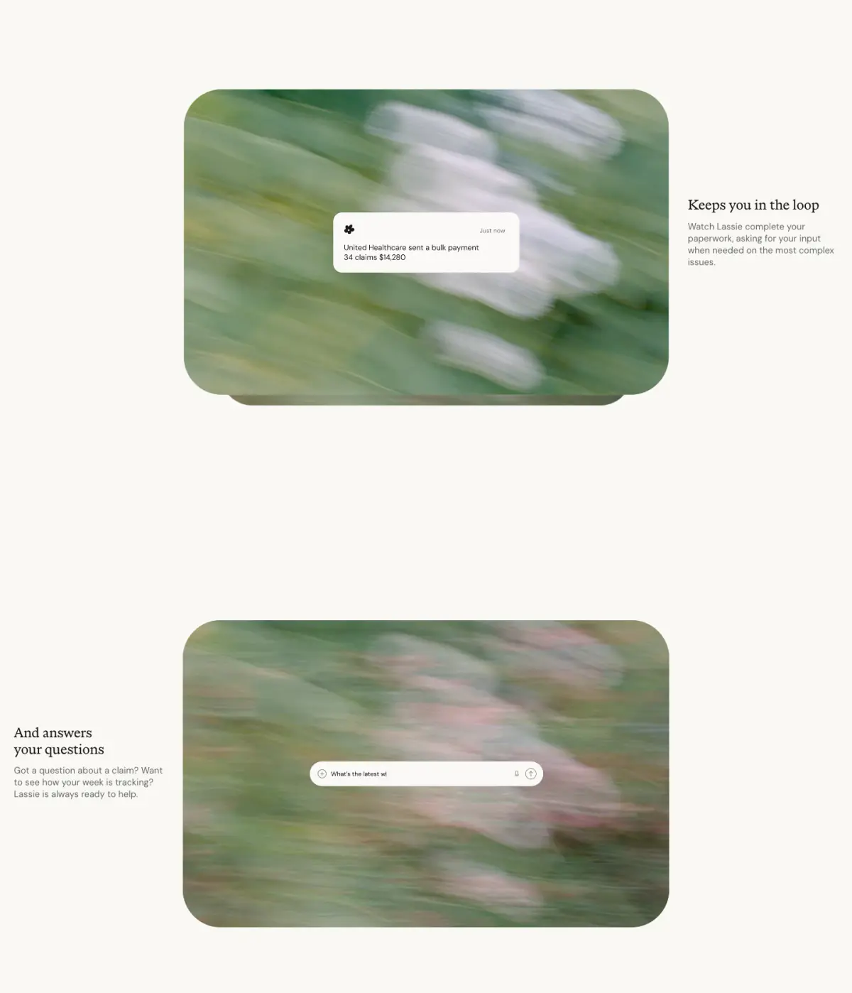 AI that runs the doctor’s office features section from Lassie