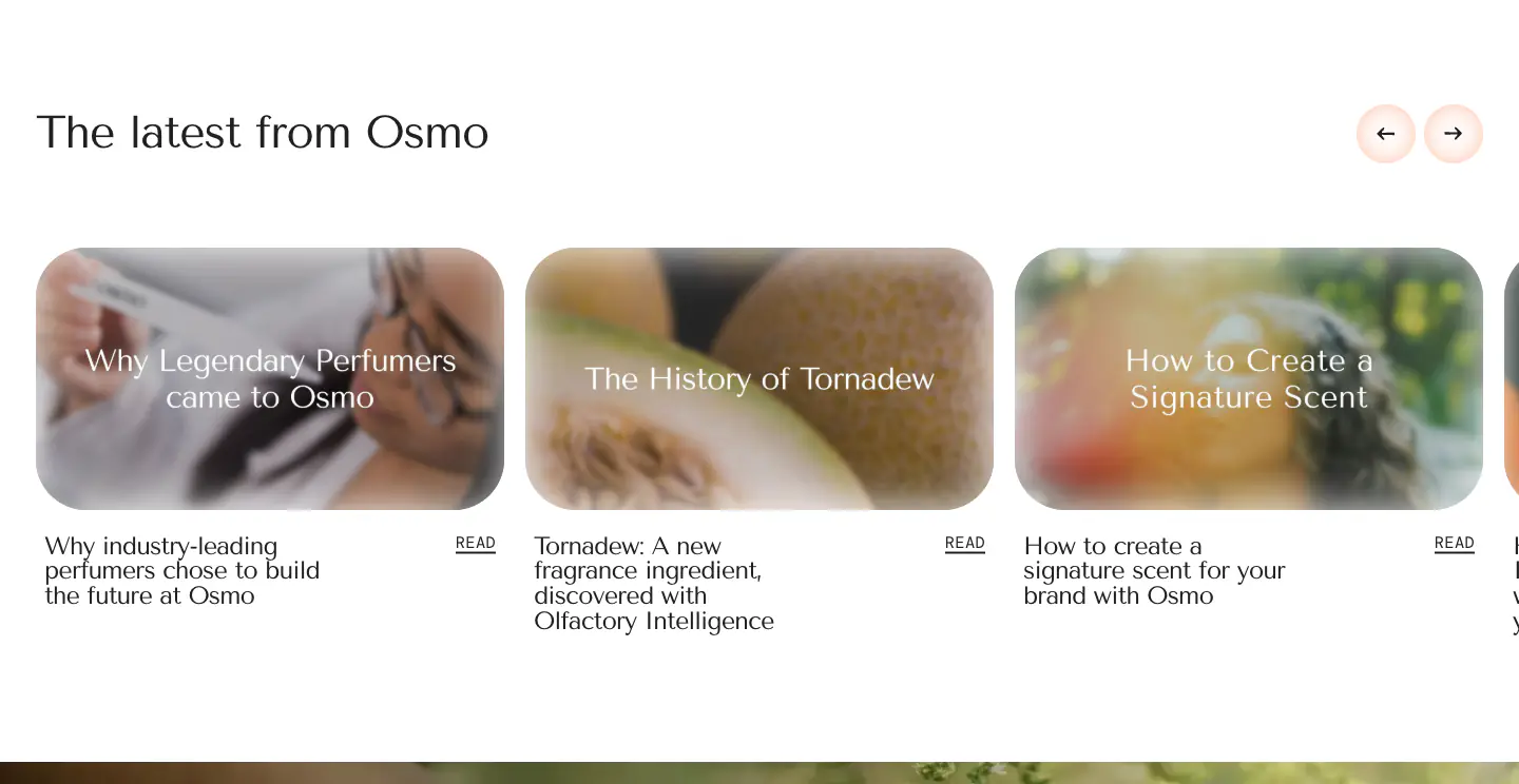 The latest from Osmo Features section from Osmo